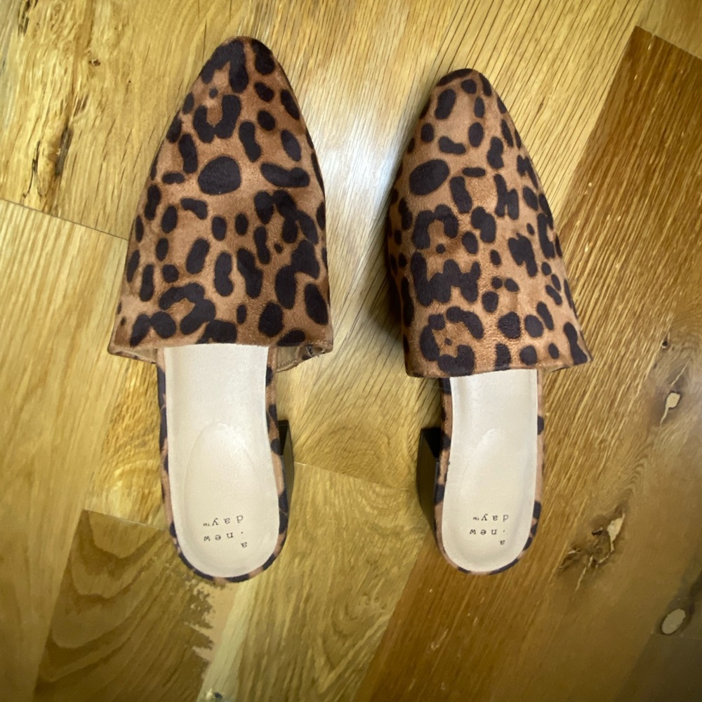 A New Day Shoes